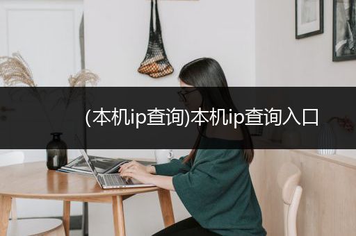 （本机ip查询)本机ip查询入口